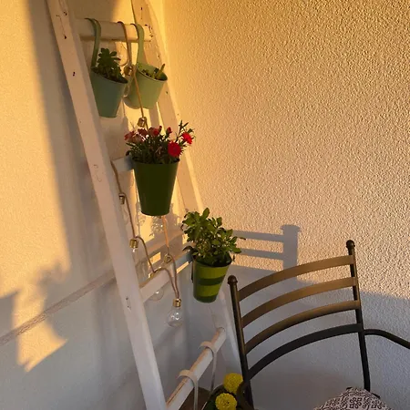 Appartement Bingo *